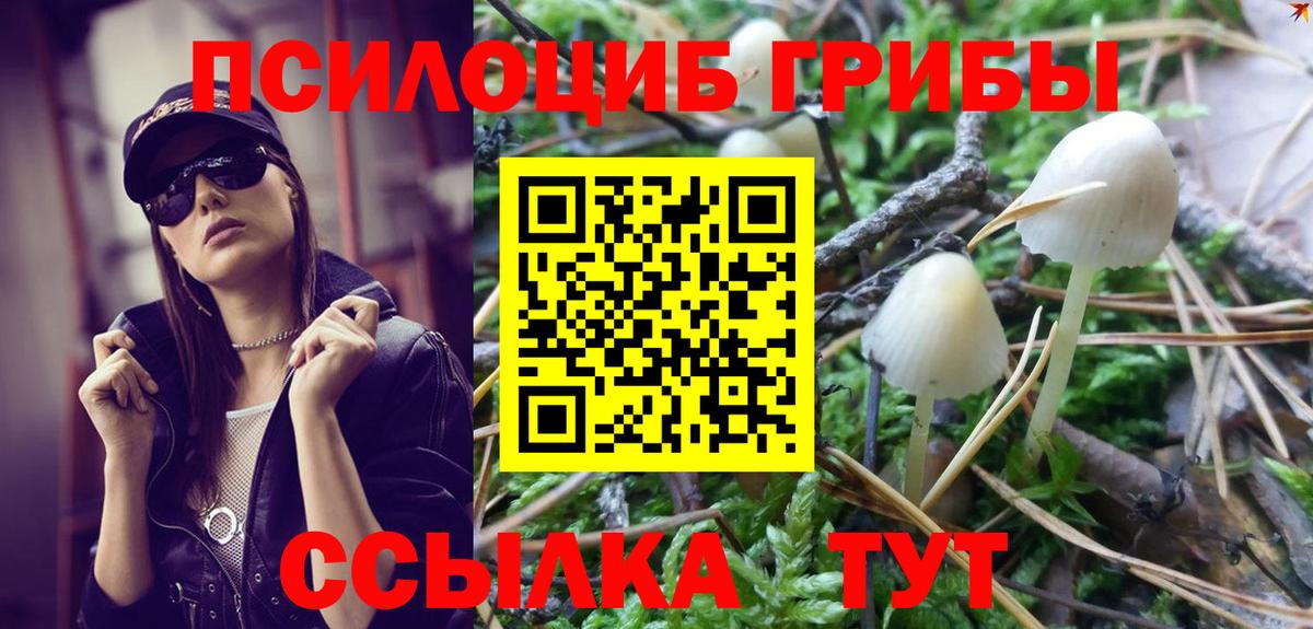 Татарск  Галлюциногенные грибы ЛСД  купить закладку  Вход с VPN 
